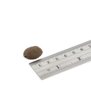 FISH4DOGS Finest Salmon Large breeds - sausas maistas šunims - 12kg - Image 2