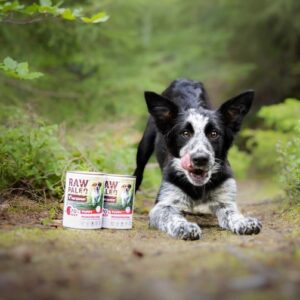 RAW PALEO Puppy Monoprotein Beef - šlapias maistas šuniukams - 400 g - Image 2