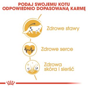 ROYAL CANIN FBN Meino meškėnų suaugusių kačių sausas ėdalas - 10kg - Image 3
