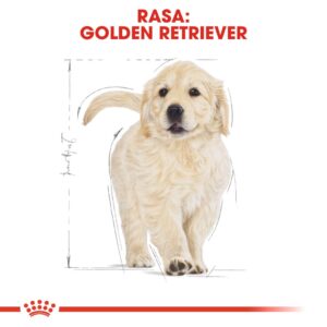 ROYAL CANIN Golden Retriever Puppy - sausas maistas šunims - 12 kg - Image 3