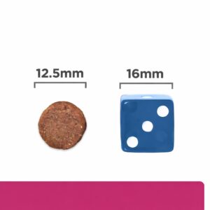 HILL'S PD Gastrointestinal Biome - Sausas šunų maistas - 10 kg - Image 2