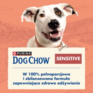 Purina DOG CHOW Sensitive Adult 14 kg Suaugusių Lašišos - Image 3