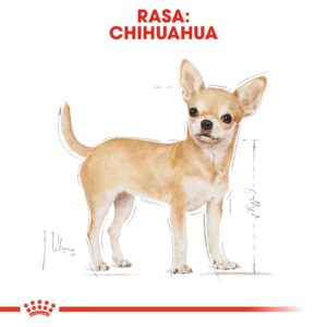 ROYAL CANIN BHN Čihuahua suaugusių šunų sausas maistas - 1,5 kg - Image 3
