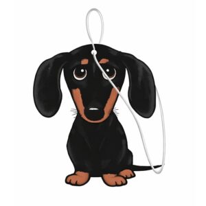 PAKA ZWIERZAKA - automobilio oro gaiviklis