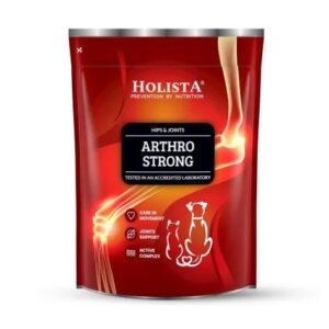 HOLISTA Arthro Strong - papildai šunims ir katėms - 600g