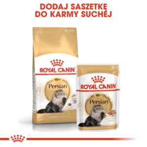 Royal Canin Persian sausas kačių maistas 4 kg Suaugusių Geltona, Paukštiena - Image 3