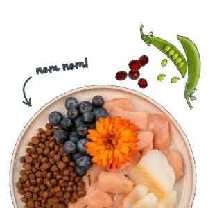 BOSCH Sanabelle Adult Trout & Blueberries - sausas kačių maistas - 2kg - Image 3