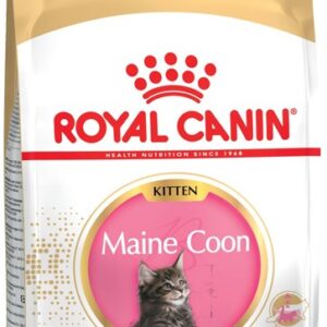 ROYAL CANIN Maine Coon Kitten - sausas kačių maistas - 2 kg