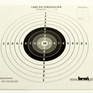 Popieriniai diskai 17x17 cm 100 vnt.