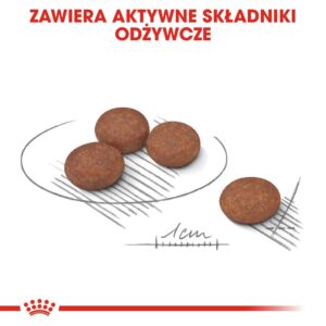 ROYAL CANIN Mini Digestive Care - sausas maistas suaugusiems mažų veislių šunims - 1kg - Image 3