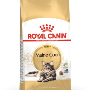 Royal Canin FBN Maine Coon Adult -  sausas ėdalas suaugusioms katėms - 4kg - Image 2
