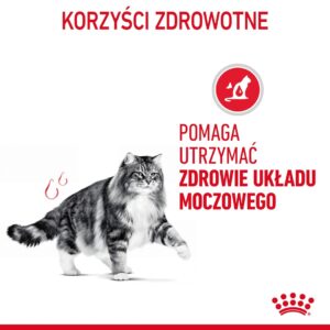 Royal Canin Urinary Care sausas kačių maistas 10 kg - Image 3