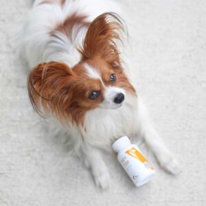 VET EXPERT Immune System - imunitetą palaikantis preparatas šunims ir katėms - 30 kapsulių. - Image 2