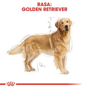 ROYAL CANIN BHN Auksaspalvis retriveris sausas šunų maistas - 12kg - Image 3