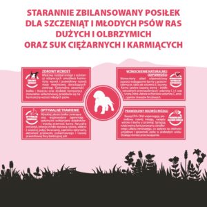 PUPIL Premium Junior Large and extra large breeds Rich in beef - sausas maistas šunims - 12kg - Image 2