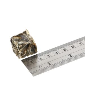 FISH4DOGS Dental Sea Jerky Fish Tiddlers - skanėstas šuniui - 575g - Image 3