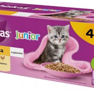 WHISKAS Junior Poultry in jelly - šlapias kačių maistas - 40 x 85g