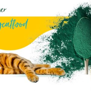 3COTY 02. Chicken  - šlapias kačių maistas - 180g - Image 3