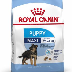 Royal Canin SHN Maxi Puppy - sausas maistas šuniukams - 4kg