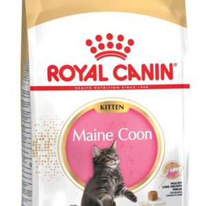 ROYAL CANIN Maine Coon Kitten - sausas kačių maistas - 4 kg
