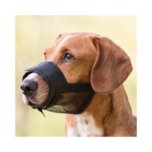 TRIXIE Antsnukis su tinkleliu, poliesteris, L-XL, juodas - Image 2