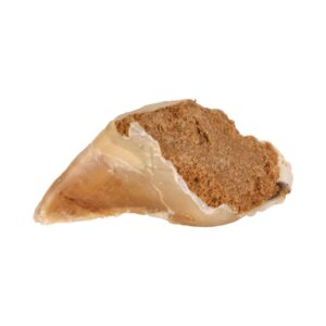 TRIXIE Chewing Skanėstas kramtoma kanopa su įdaru, 115 g