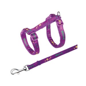 TRIXIE  Kačių petnešos su pavadėliu, žuvies kaulai, 23-39 cm-10 mm, 1.20 m