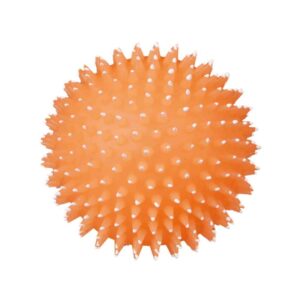 TRIXIE Kamuolys su spygliais, fosforescuojantis, vinilas, ø 10 cm