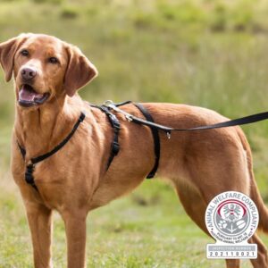 TRIXIE  Panic petnešos su apsauga nuo nuo pabėgimo, S-M 40-65 cm-15 mm, juodos - Image 2