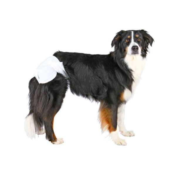 trixie-sauskelnes-kalems-l-38-56-cm-12-vnt-