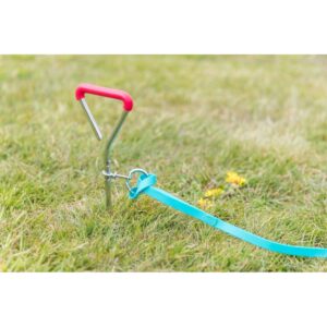 TRIXIE Šuns pririšimo sraigtas, 40 cm/9.0 mm - Image 2