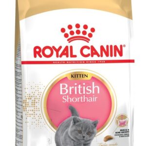 Royal Canin British Shorthair Kitten sausas kačių maistas 2 kg Kačiukas Paukštiena, Ryžiai, Daržovių