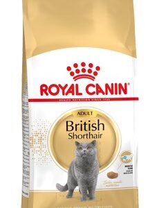 Royal Canin British Shorthair Adult sausas kačių maistas 4 kg Suaugusių
