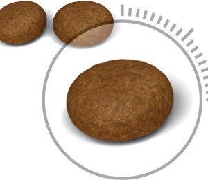 ROYAL CANIN Hair&Skin Care Adult - sausas kačių maistas - 400g - Image 3