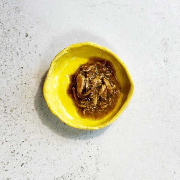 19W2y3Y820O071q7U7I4p6t5P5X7n2n0