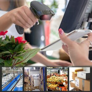 Qoltec 50856 Belaidis brūkšninių kodų skaitytuvas 1D 2D | 2,4 GHz