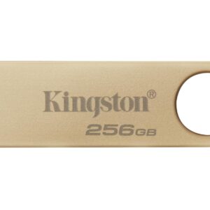 MEMORY DRIVE FLASH USB3.2/256GB DTSE9G3/256GB KINGSTON