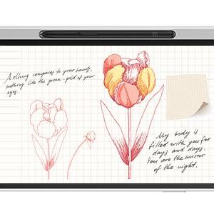 GRAPHIC TABLET 148X236MM/MAGIC NOTE PAD XPPEN