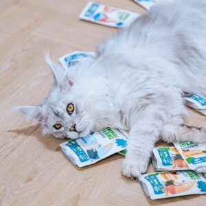 ANIMAL ISLAND Turkey / White fish Fillets in broth - šlapias kačių maistas - 80x85g - Image 2