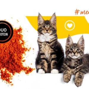 3COTY 35. Chicken and krill (kitten) - šlapias kačių maistas - 180g - Image 3