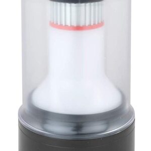 Žibintas Coleman Lifetime