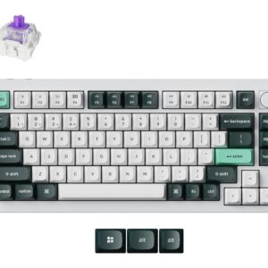 Klaviatūra WRL Q1 HE RGB/SHELL WHITE Q1H-P1 Keychron