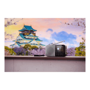 Sharp OSAKA Pocket/Handheld Portable Digital Radio | DR-P520(GY) | Bluetooth - Image 10