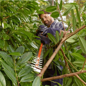 BLACK & DECKER | BEHTS301-QS | Hedge Trimmer - Image 4