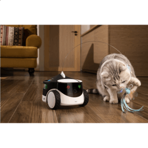 Enabot | Family Robot IP Camera | ROLA PetPal - Image 5