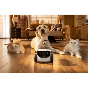 Enabot | Family Robot IP Camera | ROLA PetPal - Image 6