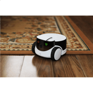 Enabot | Family Robot IP Camera | ROLA PetPal - Image 8