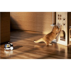 Enabot | Family Robot IP Camera | ROLA PetPal - Image 9