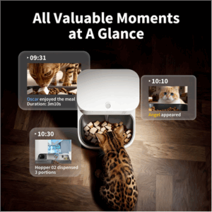 PETKIT YumShare Dual-hopper 2 Automatic Feeder with Camera | Capacity 5 L | Material ABS, 304 stainless steel | White - Image 3