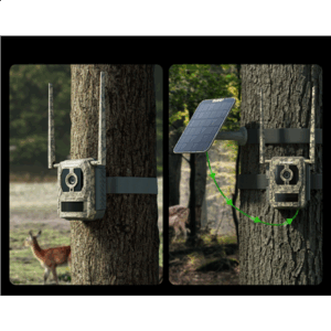 Reolink | 4K 4G Cellular Trail Camera with Live Streaming | Talon Series S130 | Trail | 8 MP | 4mm/F1.6 | IP67 | H.265 | MicroSD Card, up to 256 GB - Image 7